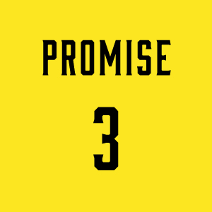 PROMISE 3
